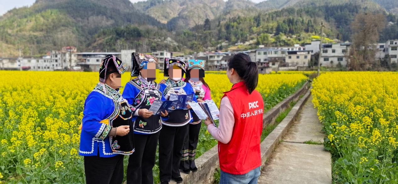 人保财险黔东南麻江支公司：花海金浪涌 金融春风暖