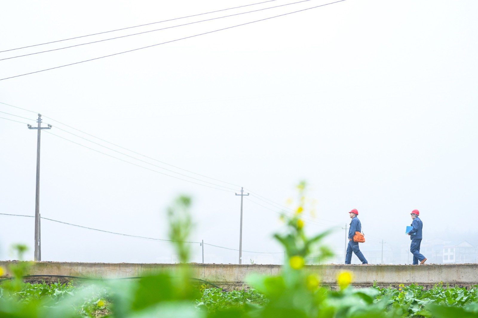 2月17日,凯里岑巩供电局工作人员对岑巩县天马镇10千伏马街线开展春节巡视。 (1).jpg