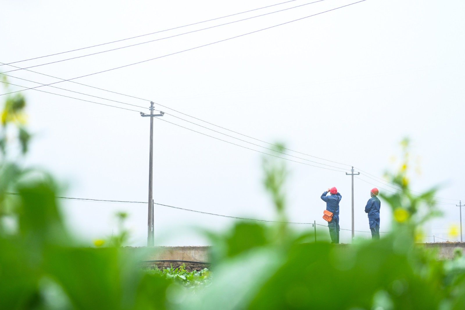 2月17日,凯里岑巩供电局工作人员对岑巩县天马镇10千伏马街线开展春节巡视。 (5).jpg
